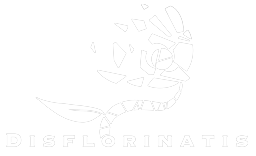 Studio Disflorinatis